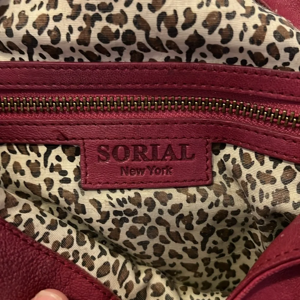 Large Sorial hobo style purse purple